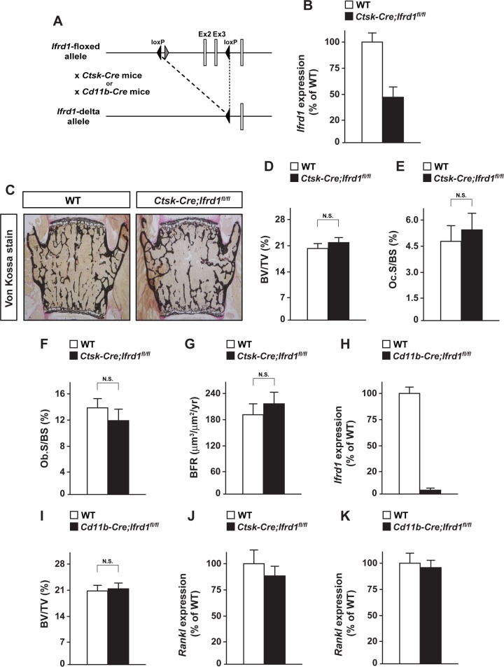 FIG 3