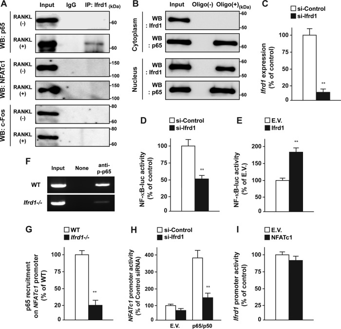 FIG 6