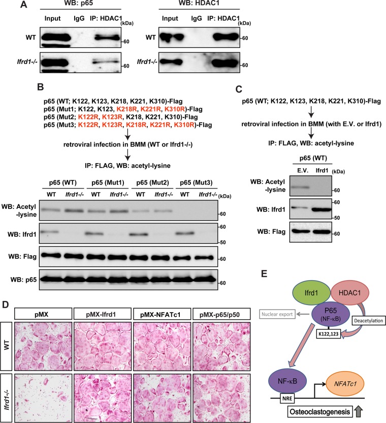 FIG 7