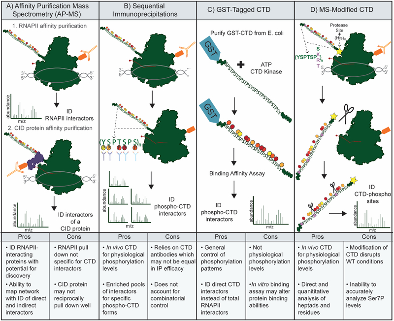 Figure 4: