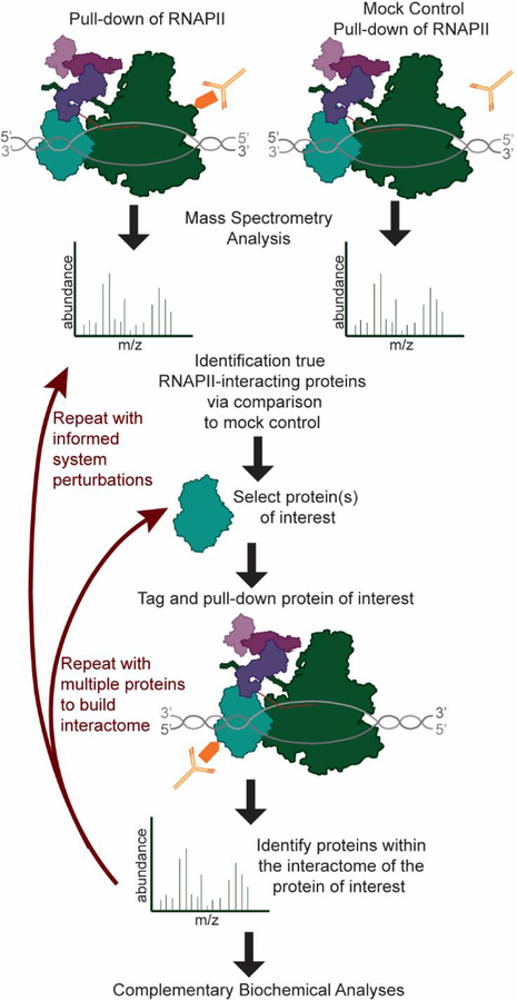 Figure 1: