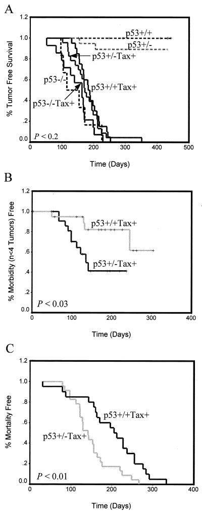 FIG. 6