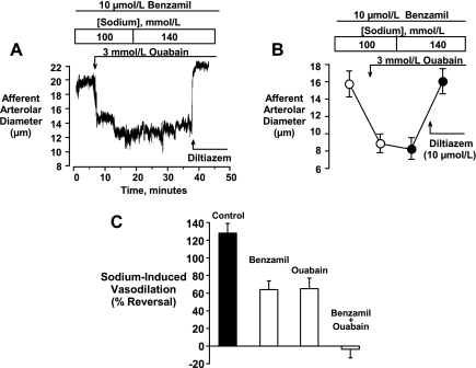 Fig. 10.