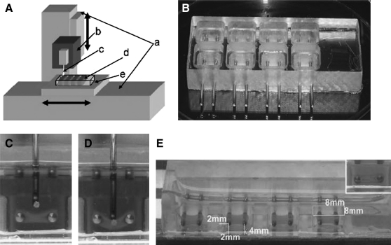 FIG. 2.