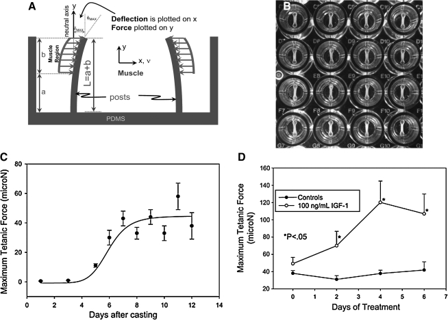 FIG. 4.