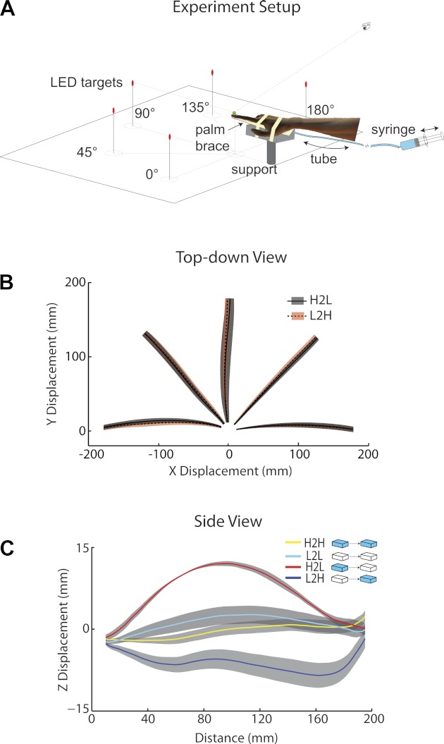 Fig. 1.