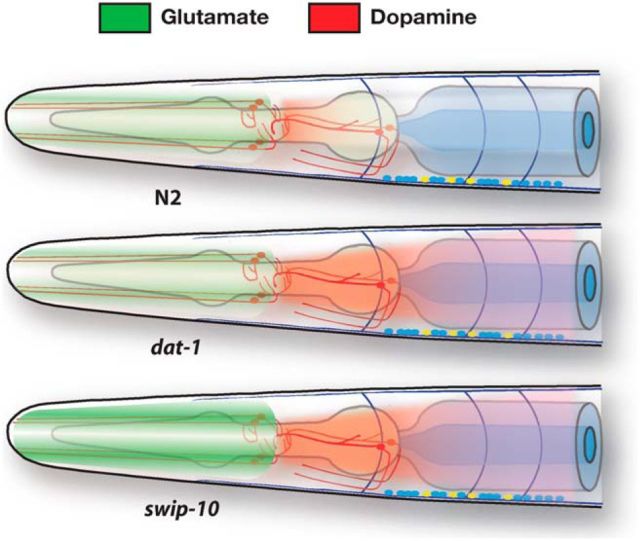 Figure 9.