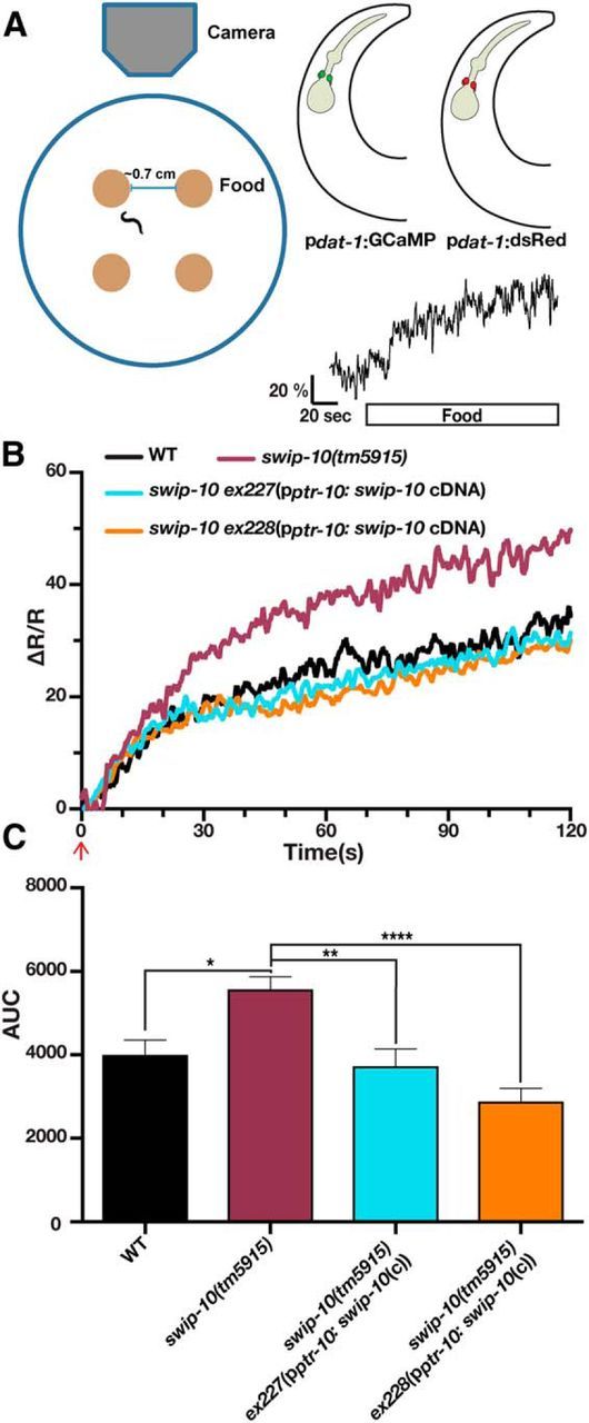 Figure 5.