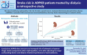 Graphical Abstract