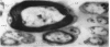 204-2