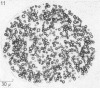 204-2