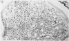 204-2