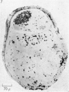 204-1