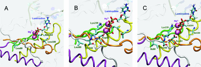 FIG. 4.