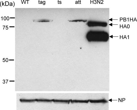 FIG. 3.