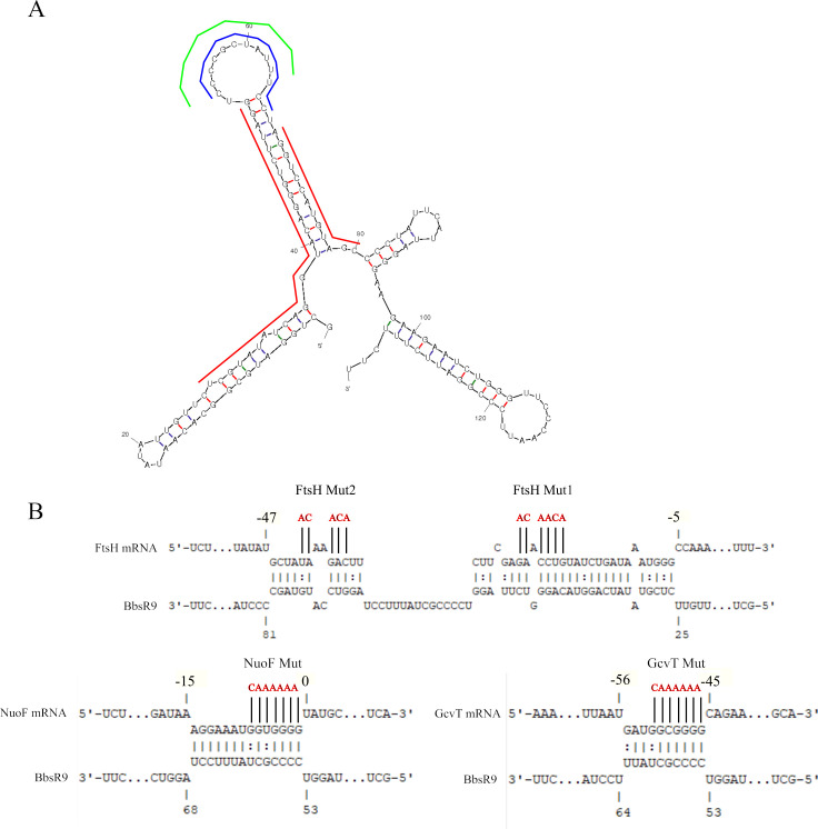 Fig 6