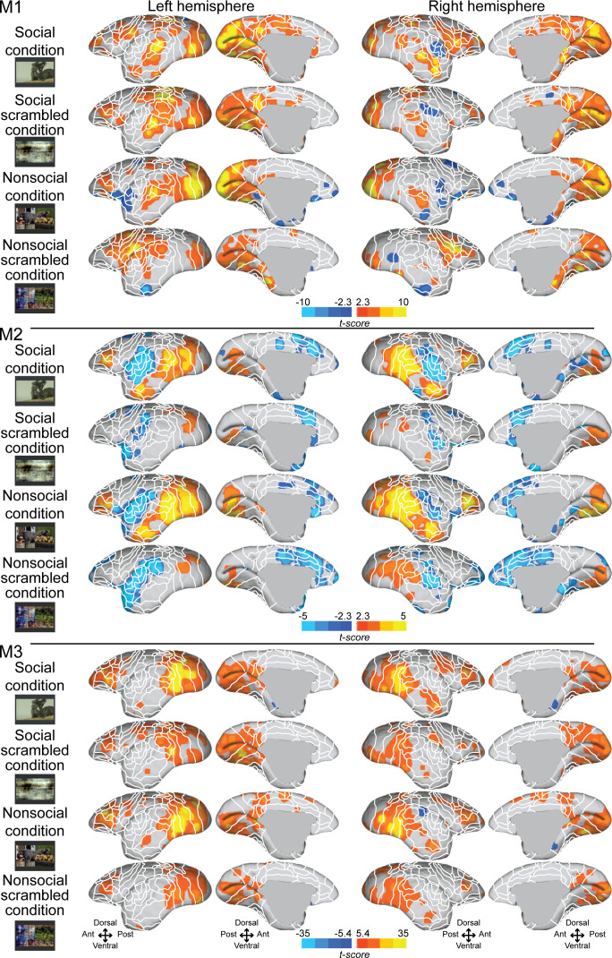 Figure 1—figure supplement 2.