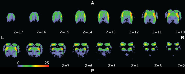 Figure 2—figure supplement 2.