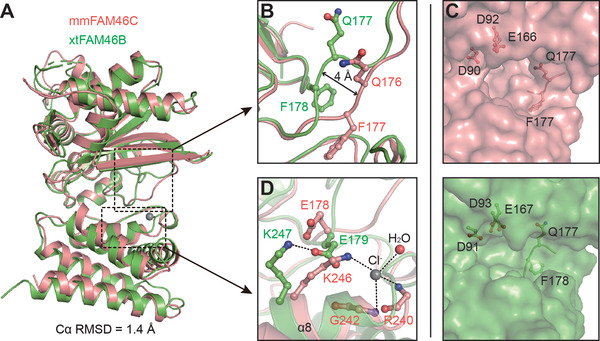 FIGURE 3