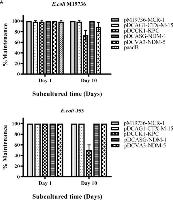 Figure 2