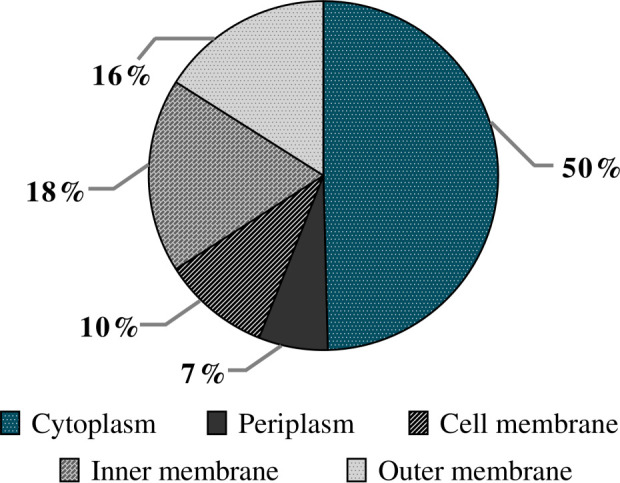 Figure 6