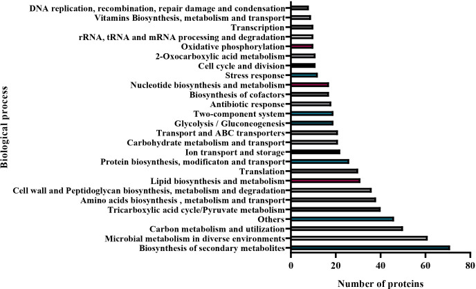 Figure 7