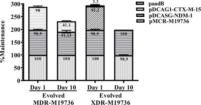 Figure 3