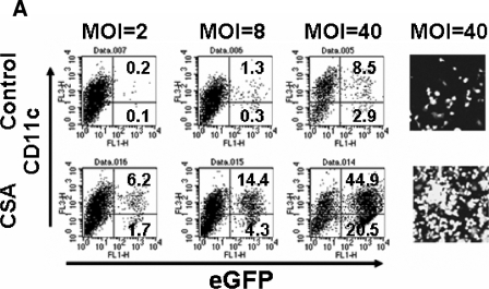 FIG. 2.