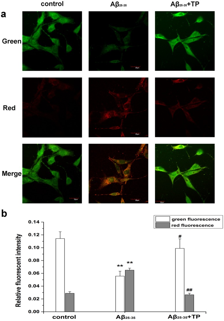 Fig 6