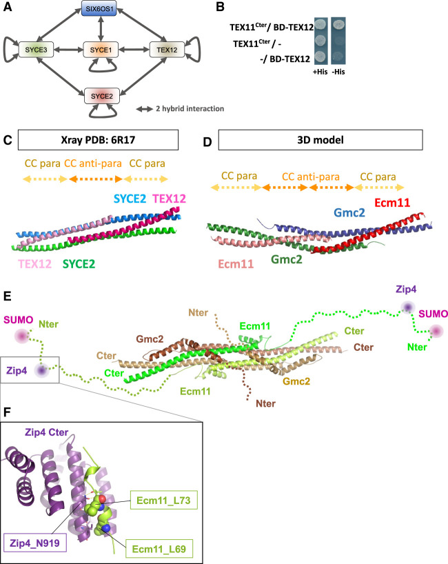 Figure 6.