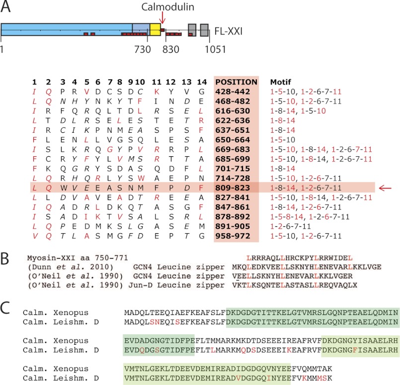 FIGURE 4.