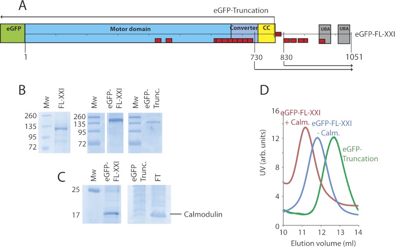 FIGURE 1.