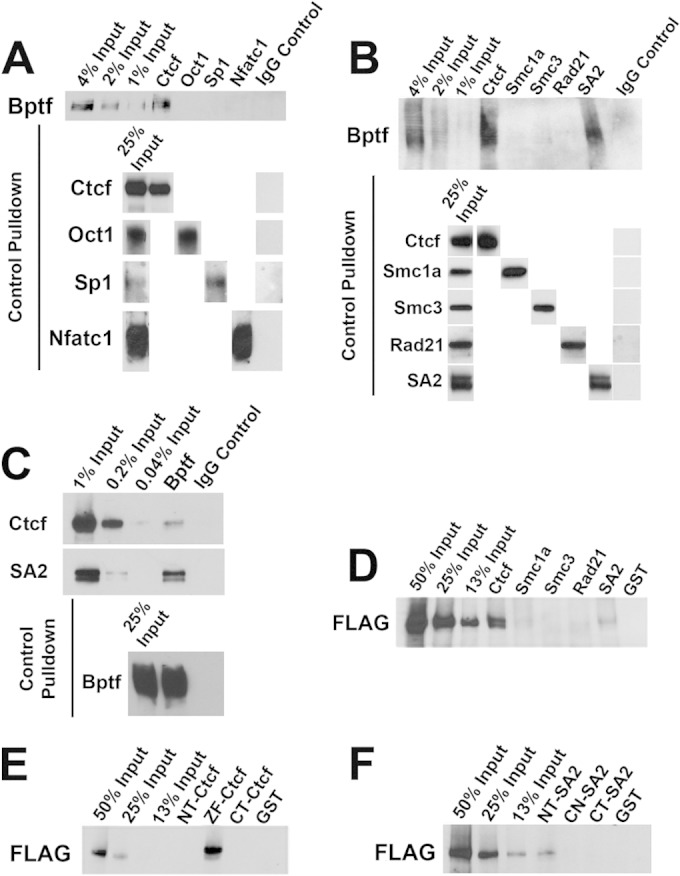 FIG 5