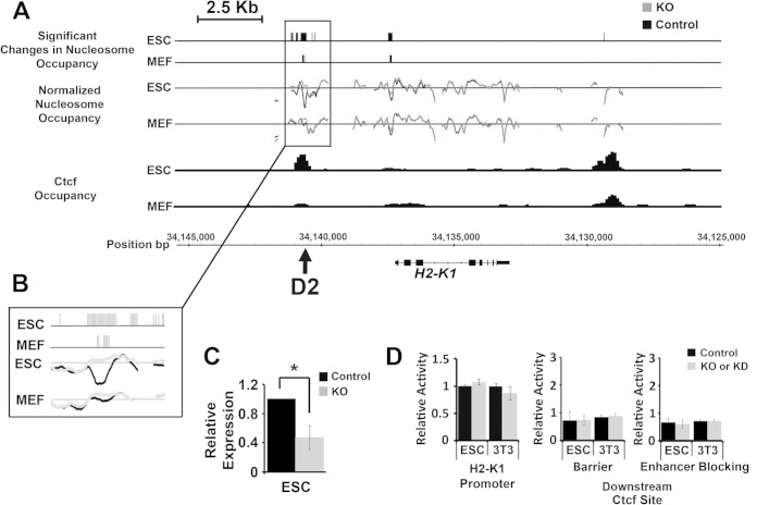 FIG 8