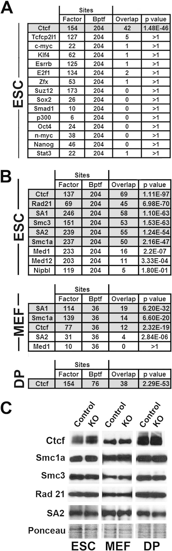 FIG 3