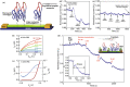 Fig. 10