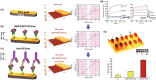 Fig. 11