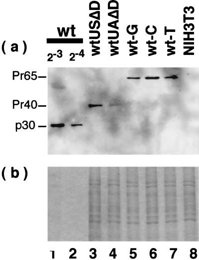 FIG. 5