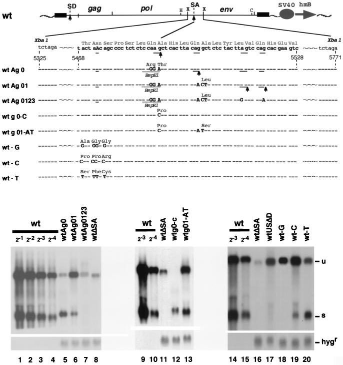 FIG. 4