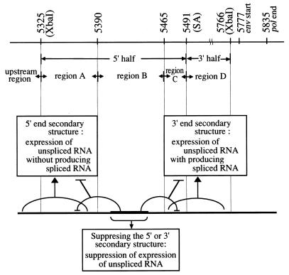 FIG. 6