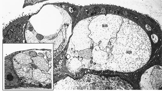 FIG. 7.