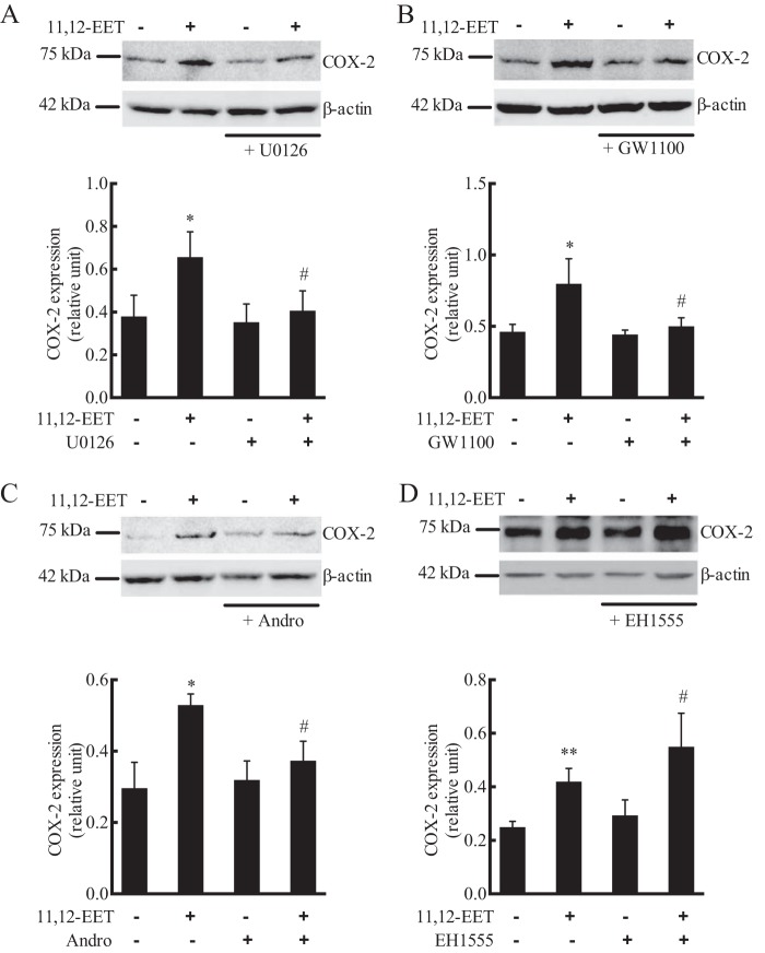 Figure 11.