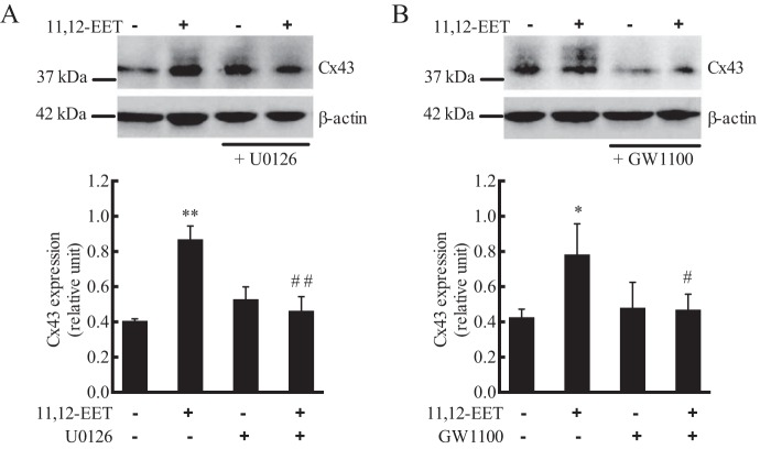 Figure 10.