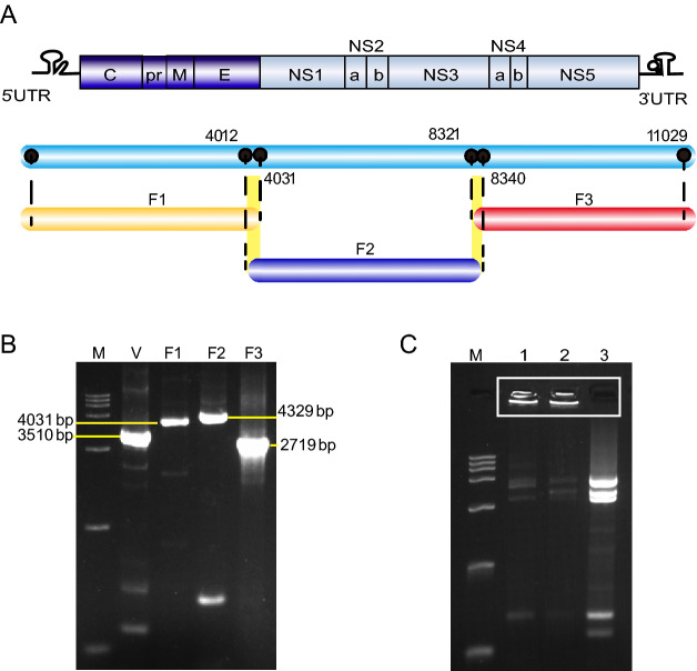 Fig. 2