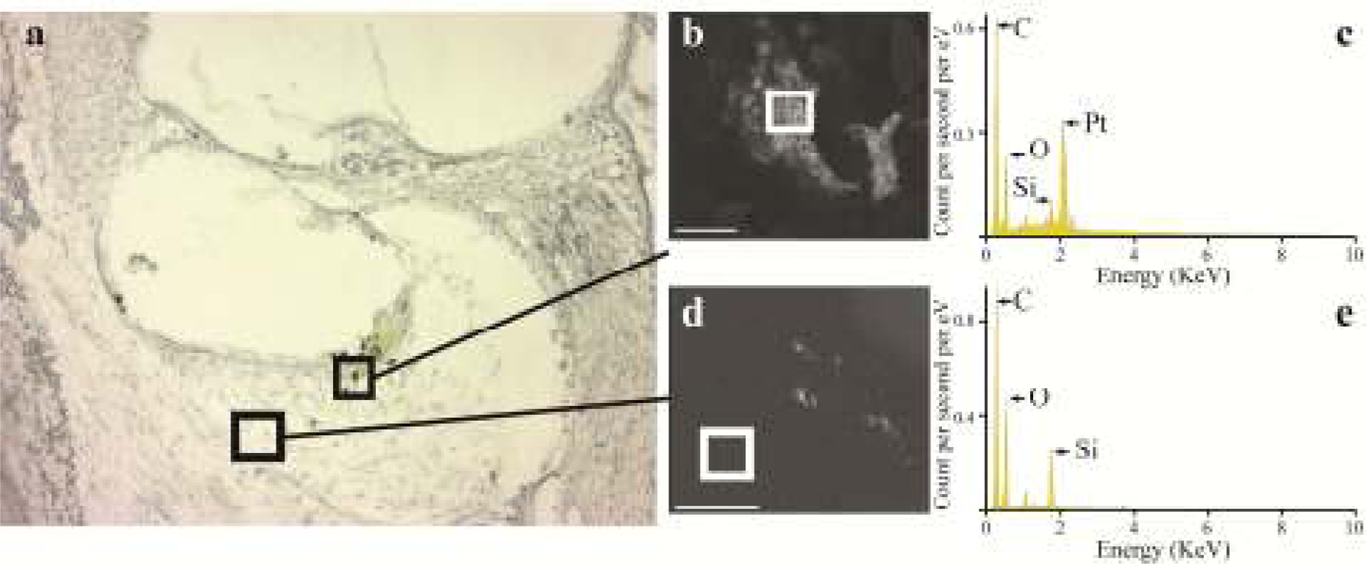 Figure 15.