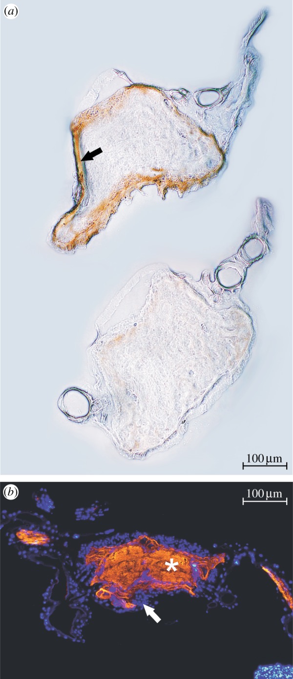 Figure 5.