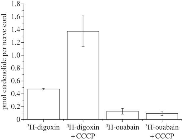 Figure 3.