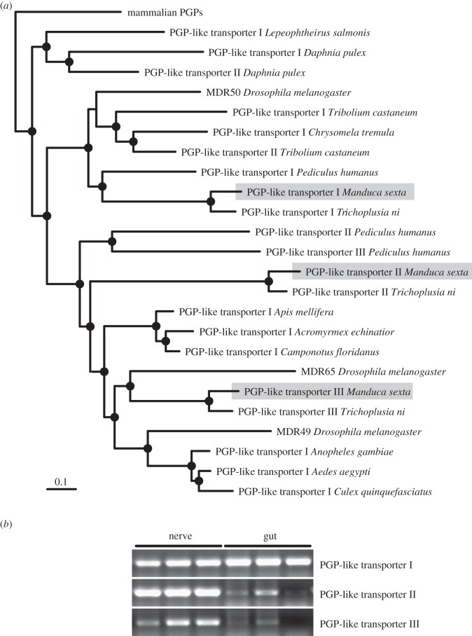 Figure 4.