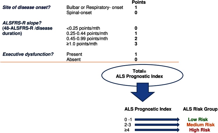 Fig. 1