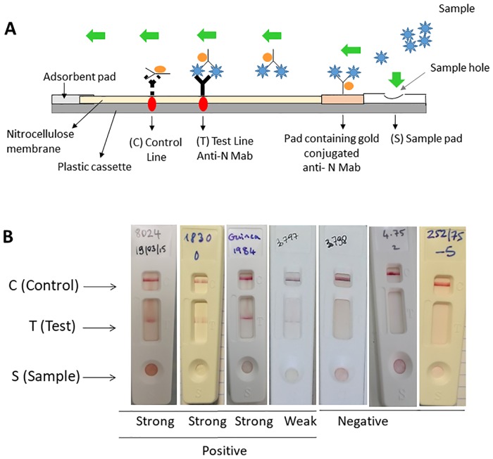 Fig 3